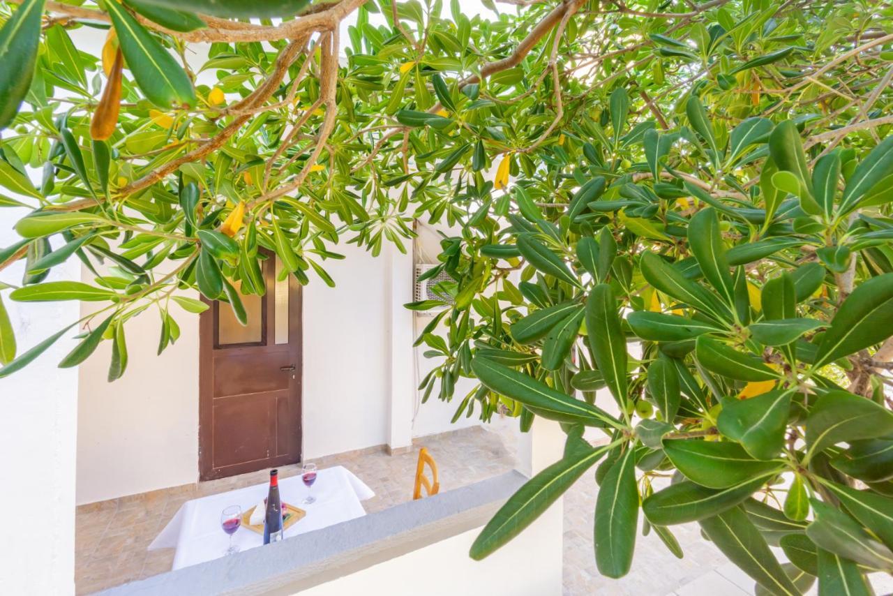 Kob Orog Good Location With Sea Views And Modern Decor * Metajna